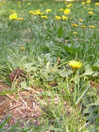 Die Seite von Michael Schröter